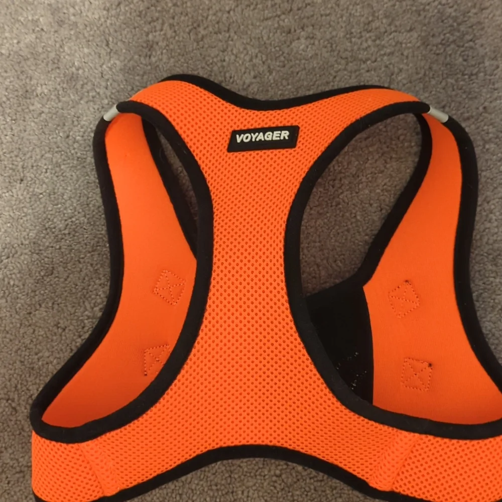 Voyager XL. Orange. Brand New. SALE NWOT. Never Worn. Ordered Too Small Sale